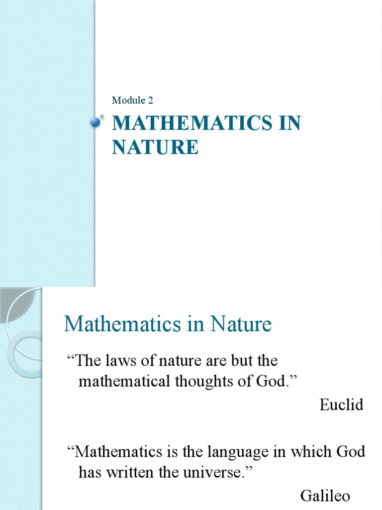 02.2 - Shapes in Nature | PDF | Science & Mathematics