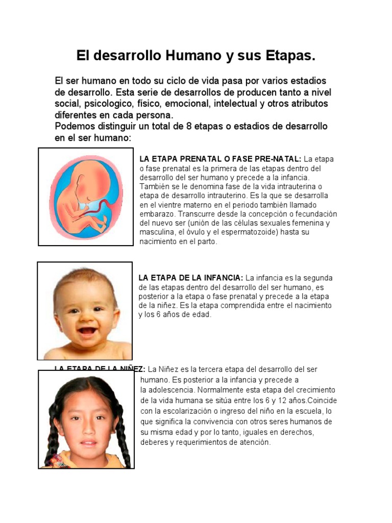 Etapas del Desarrollo Humano | PDF | Adultos | Vejez