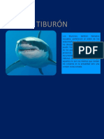 Tiburón- vicente retamal