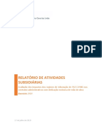 Relatório de Atividades Subsidiárias