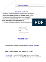 Fisiere Text