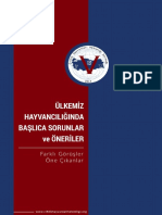 Ülkemi̇z Hayvanciliğinda Başlica Sorunlar Ve Öneri̇ler