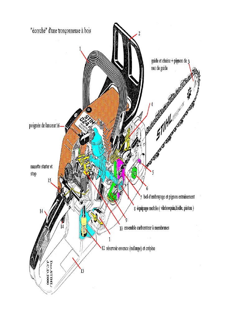 08 Tronconneuse Stihl Eclate Eleve PDF