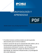 Neurofisiología Del Aprendizaje - Psicopedagogía PDF