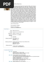 Currículo do Sistema de Currículos Lattes (Matheus Roriz Silva Cruz)