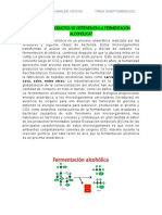 Cuantos Productos Se Obtienen en La Fermentacion Alcoholica