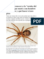 ARAÑA