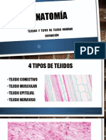 Anatomía Tejidos y Tipo de Tejidos Aranda Torres Jose Fernando