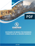 Riesgo Por Incendios Forestales de La Region Huanuco