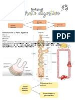 Resumen Fisiologia Sist Digestivo