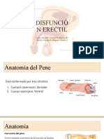 Disfunción eréctil: anatomía, factores de riesgo y diagnóstico