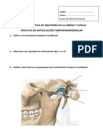 Guías de Practica de Articulacion Temporomandibular
