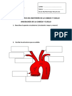 Guías de Practica Angiologia