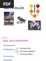 Download Bab 7 Evolusi by mariam_n10tangse SN59757837 doc pdf