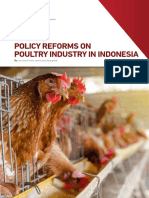 Policy Reforms On Poultry Industry in in