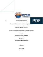 Ensayo, Fundamentos y Aplicación de La Seguridad Industrial.