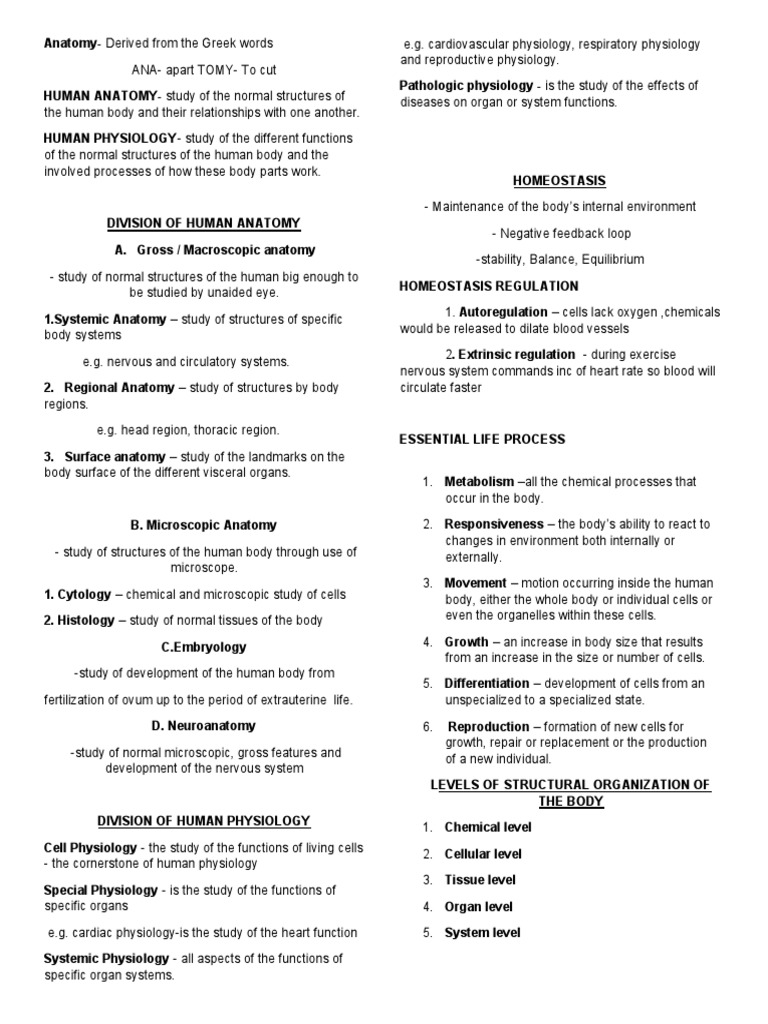 Reviewer anph111 candy download free pdf epithelium connective tissue