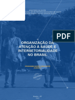 E Book Disc 8 Organizacao Da Atencao A Saude e Intersetorialidade No Brasil