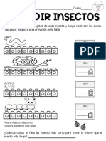 Medir Insectos - Clase 4