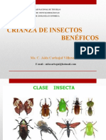 Clase I Crianza de Insectos Benéficos 2016