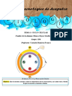 Evidencias Biogis