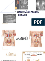 Anatomía y Semiología de Aparato Urinario
