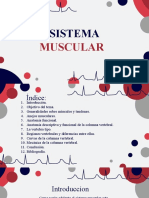 Sistema Muscular Pt.1