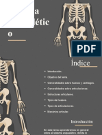 Sistema esquelético: huesos, articulaciones y movimiento