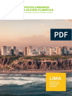 Lima Report - Translated2.0importanteambientaldescripción