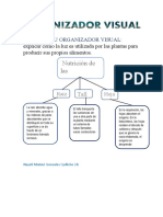 Semana 27 - ELABORA TU ORGANIZADOR VISUAL