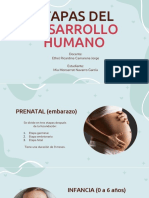 Etapas Del Desarrollo Humano