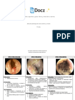 Atlas de Patologia de Oido Externo y Medio 237040 Downloable 1465620