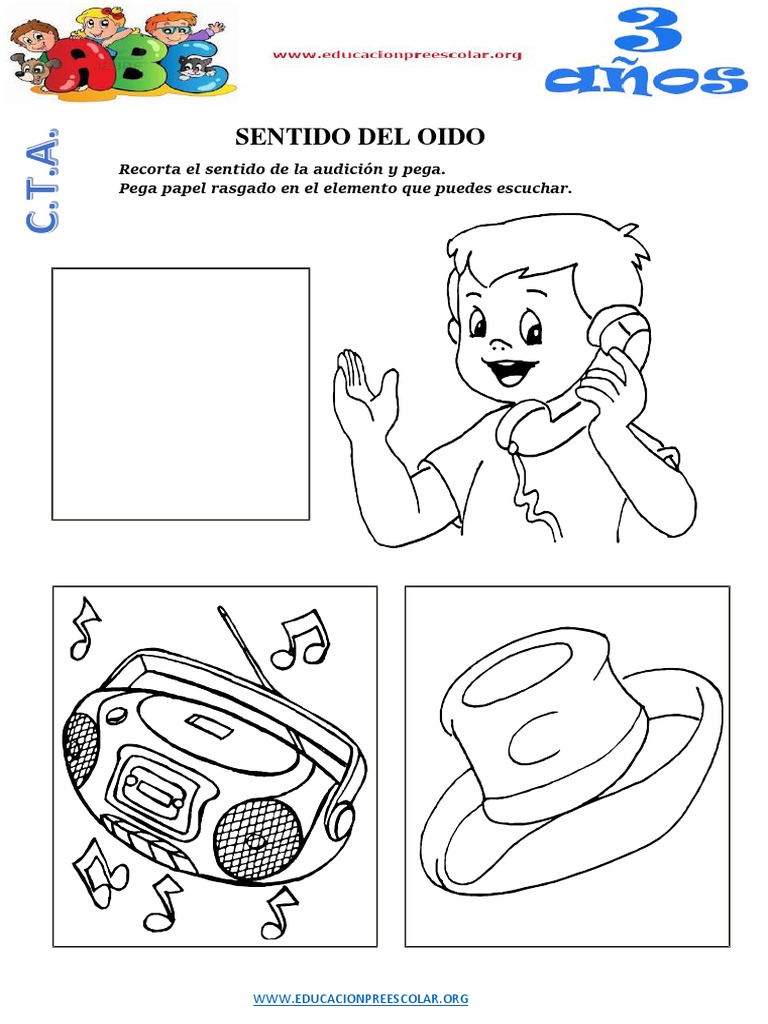 Sentido Del Oido Para Niños De 3 Años Pdf