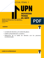 Sesión-9-Procesal Penal-1-Upn