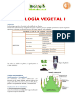 4°SEC-HISTOLOGIA VEGETAL I