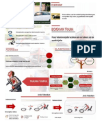 Biomechanichal Trauma