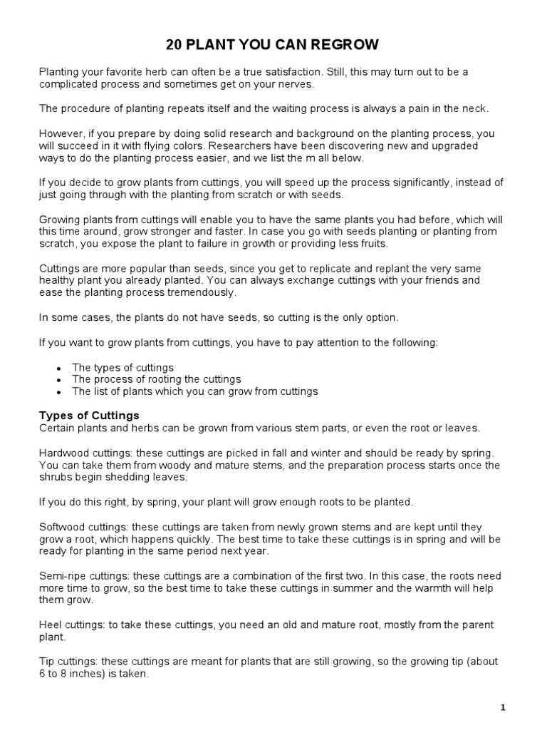 20 Plant You Can Regrow PDF Root Plant Stem