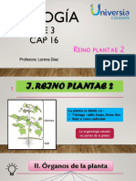 Pre 3 Cap 16 Reino Plantae 2