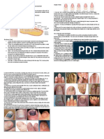 Nail Structure and Conditions Diseases and Disorder