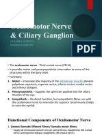 Oculomotor Nerve 3