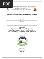 Internship Report FORMAT