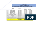 Planilla Organizacion