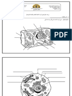 ورقة عمل