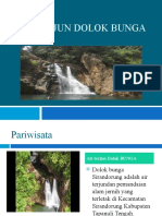 Air Terjun Dolok Bunga