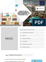 Efectos de La Pandemia Sobre El Medio Ambiente y La Economia Local