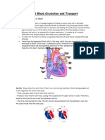 Science Form 3 Blood Circulation and Transport