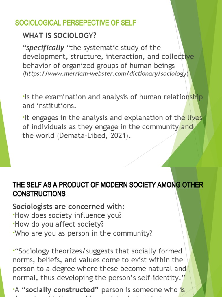 The Self in Modern Society's Context | PDF | Sociology | Self