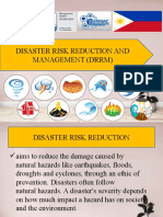 DRRM - Final Report