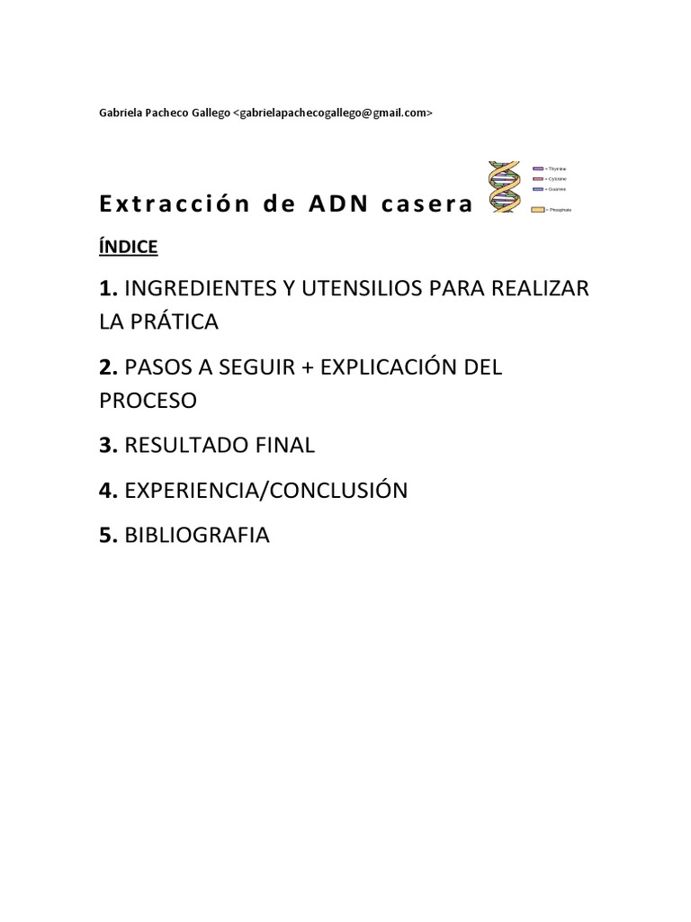 Do It Yourself DNA Extraction A StepbyStep Guide to Isolating DNA at