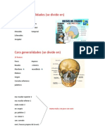 Generalidades de Columna, Torax, Cabeza, Craneo y Costillas